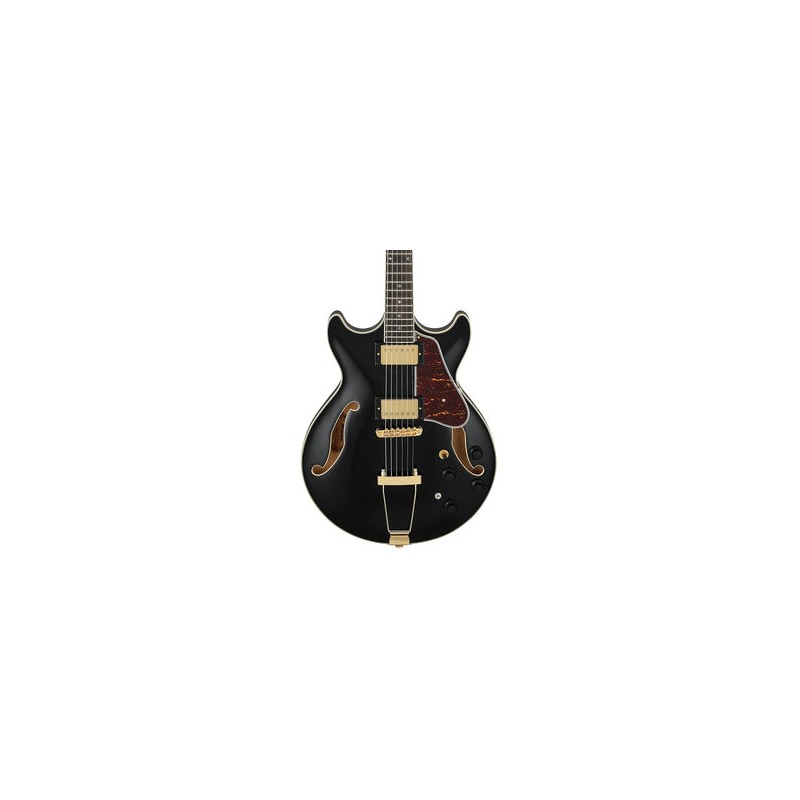 Ibanez Guitarra Eléctrica Negra AMH90-BK, Artcore Expressionist