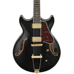 Ibanez Guitarra Eléctrica Negra AMH90-BK, Artcore Expressionist
