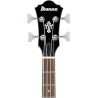 Ibanez Bajo Eléctrico Sombreado AFB200-TKS, Serie Artcore