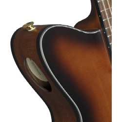 Ibanez Guitarra Electroacústica Café Sombreado Negro Mate FRH10N-BSF, Serie FRH